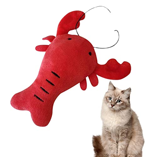Raxove Plüsch-Hundespielzeug | Lustiges -Kauspielzeug für Hunde – Haustier-Leckerli-Spielzeug, waschbar, kleine Rassen, Welpenspielzeug, Baumwollstoff, saubere Zähne, Massage des Zahnfleischs, Raxove Plüsch-Hundespielzeug | Lustiges -Kauspielzeug für Hunde – Haustier-Leckerli-Spielzeug, waschbar, kleine Rassen, Welpenspielzeug, Baumwollstoff, saubere Zähne, Massage des Zahnfleischs, von Raxove
