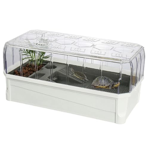 Schildkrötenaquarium Mit Filter – Schildkröten-Mehrzweck-Lebensraumbecken | Miini Reptilien-Glasterrarium 46 X 23 X 20 Cm, Weißes Schildkrötenaquarium Mit Filter, Schildkrötenaquarium-Lebensraum Für S von Raxove