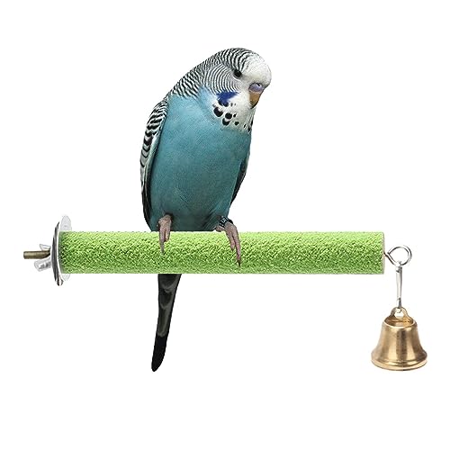 Vogel-Sitzstange, Pfoten-Trimmerstab für Papageien, Kauspielzeug für Spatzen, Nymphensittiche, Papageien, Wellensittiche, Sittiche, Aras, Sittiche, Aras, Sittiche Raxove Vogel-Sitzstange, Pfoten-Trimmerstab für Papageien, Kauspielzeug für Spatzen, Nymphensittiche, Papageien, Wellensittiche, Sittiche, Aras, Sittiche, Aras, Sittiche Raxove von Raxove
