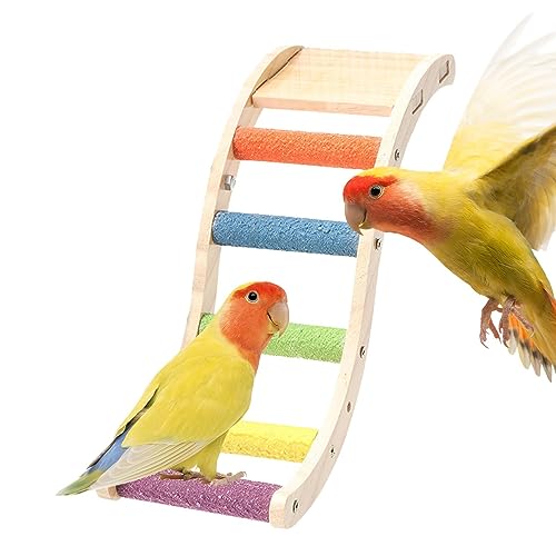 Vogeltreppe aus Hartholz, Spielzeug für Papageien aus Holz, Sittiche, Kletterzubehör, Holzbügel für kleine bis mittelgroße Vögel, Sittiche, Nymphensittiche von Raxove