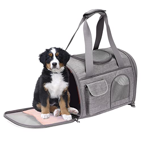 Weiche Tragetasche für Katzen, Reise-Kätzchen, weiche Seiten, von Fluggesellschaften zugelassen, erweiterbare Welpen-Tragetasche mit Taschen, für kleine Tiere Raxove Weiche Tragetasche für Katzen, Reise-Kätzchen, weiche Seiten, von Fluggesellschaften zugelassen, erweiterbare Welpen-Tragetasche mit Taschen, für kleine Tiere Raxove von Raxove