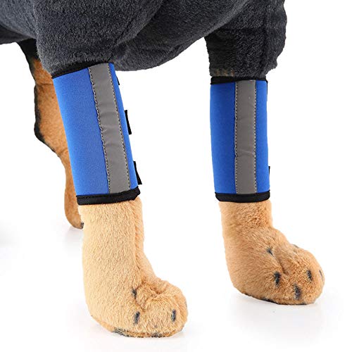 RayMinsin Ellenbogenbandage, mit reflektierendem Band, Hundebeinschutz, Kniebandage, kann bei Verstauchungen und Entzündungen durch Arthritis helfen (1 Paar) (blau, M) von RayMinsin