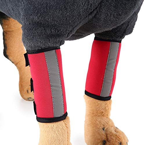 RayMinsin Ellenbogenbandage, mit reflektierendem Band, Hundebeinschutz, Kniebandage, kann bei Verstauchungen und Entzündungen durch Arthritis helfen (1 Paar) (rot, S) von RayMinsin