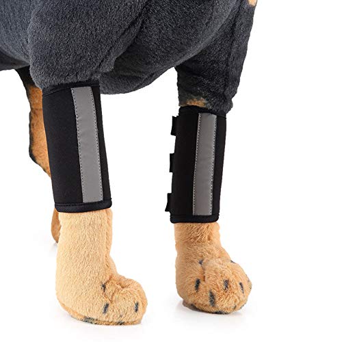 RayMinsin Ellenbogenbandage, mit reflektierendem Band, Hundebeinschutz, Kniebandage, kann bei Verstauchungen und Entzündungen durch Arthritis helfen (1 Paar) (schwarz, L) von RayMinsin
