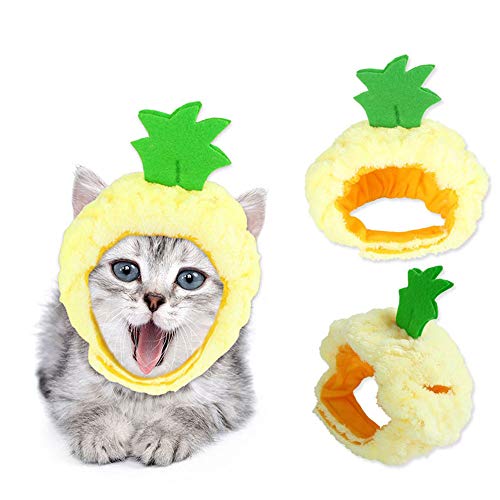 RayMinsin Nette Katze Hut Urlaub verkleiden Banane Ananas Apfel Kopfschmuck Katze lustige Anzieh Hut Katze Kopfschmuck Zubehör von RayMinsin