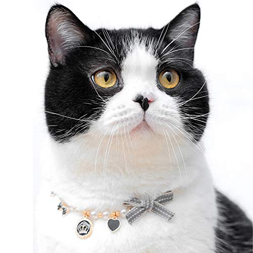 RayMinsino Mode Haustier Halskette Katze Perle Krone Halsband Zubehör Ornamente Haustier Katze Teddy Halsband Perle Schmuck Halsband von RayMinsino
