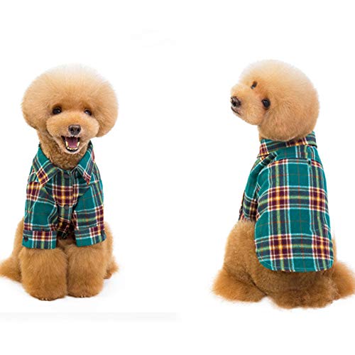 RayMinsino Haustier Freizeit Kariertes Baumwollhemd Haustier Kleidung Teddy Hund Kleidung Hund atmungsaktiv T-Shirt Kleidung von RayMinsino