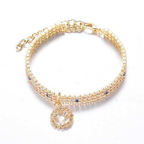 RayMinsino Haustier-Halskette, Smiley-Anhänger, Zirkonia, dreireihig, Diamanten, goldener Schmuck für Katzen und Hunde RayMinsino Haustier-Halskette, Smiley-Anhänger, Zirkonia, dreireihig, Diamanten, goldener Schmuck für Katzen und Hunde von RayMinsino