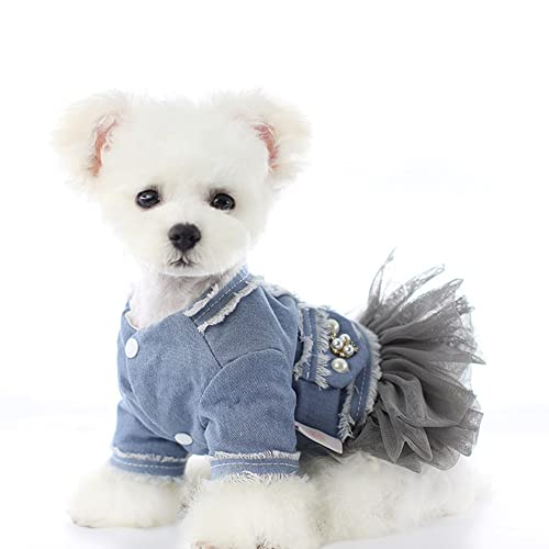 RayMinsino Haustier-Kleidung für Hunde und Katzen, Motiv: Bichon, Petticoat von RayMinsino
