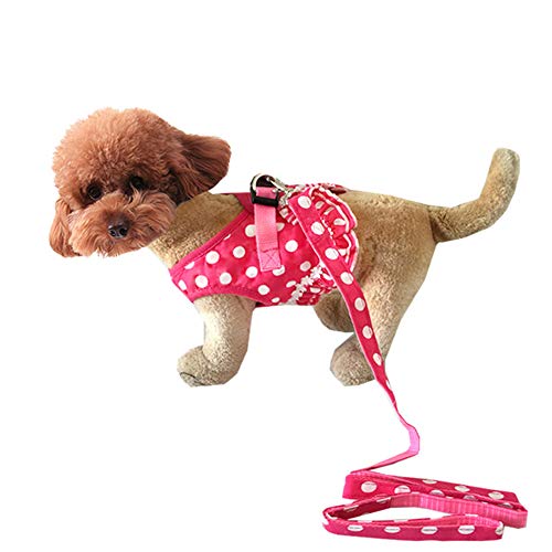 RayMinsino Hundegeschirr mit passender Leine, weiches Netzgewebe, gepunktet, verstellbar, 10 m von RayMinsino