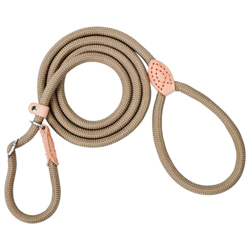 Retrieverleine mit Zugstopp, 180 cm Hundeleine mit Halsband, Witterungsbeständig Leine Hund Einstellbar Trainingsleine für Kleine bis Große Hunde Retrieverleine mit Zugstopp, 180 cm Hundeleine mit Halsband, Witterungsbeständig Leine Hund Einstellbar Trainingsleine für Kleine bis Große Hunde von Raygenix