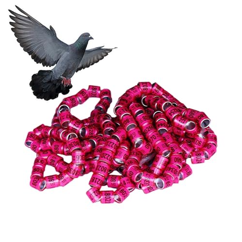 Raypontia 50Stück Taubenringe 8mm, Tauben Ringe Mit Nummer, Vogel Beinbänder, Tauben Ringe Mit Öffnung, Vogel Fußringe, TaubenIdentifikationsringe, Zubehör In Leuchtenden Farben, pink von Raypontia