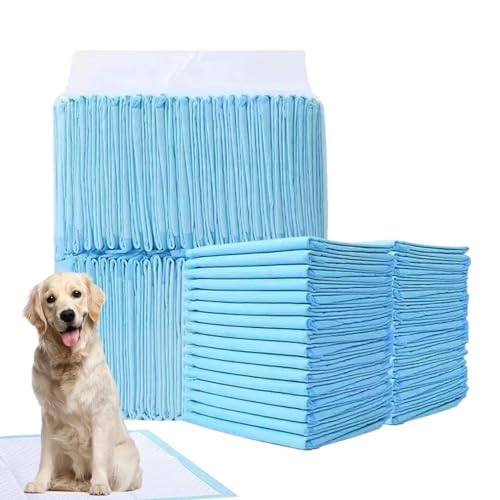 Raypontia Hunde-PIPI-Pads, Töpfchen-Pads für Hunde - wasserdichte Haustier-PIPI-Pads | Super saugfähige Haustierwindel, verdickte Windeleinlagen für Katzen und Hunde, schnell trocknende Raypontia Hunde-PIPI-Pads, Töpfchen-Pads für Hunde - wasserdichte Haustier-PIPI-Pads | Super saugfähige Haustierwindel, verdickte Windeleinlagen für Katzen und Hunde, schnell trocknende von Raypontia