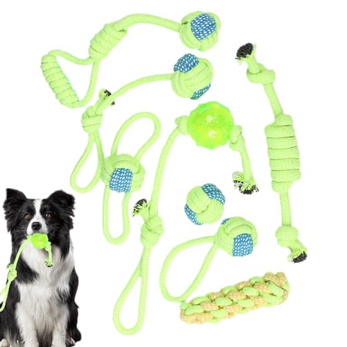 Raypontia HundeSeil, Seil Baumwolle | 8 Stücke Hund Seil Welpe Teether Pet Tauziehen | Kaugüter Kauspiel Toys Knot Tug Indoor Outdoor Trainer für Heimreise Raypontia HundeSeil, Seil Baumwolle | 8 Stücke Hund Seil Welpe Teether Pet Tauziehen | Kaugüter Kauspiel Toys Knot Tug Indoor Outdoor Trainer für Heimreise von Raypontia