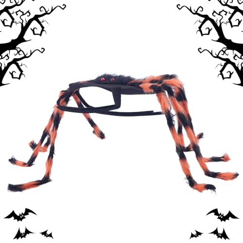 Raypontia Hundekostüm Halloween Spinne, Kleinhunde Spinne Kostüm Halloween, Gruselige Outfits Für Junge Tiere Bei Feiern Geburtstagen Karneval Events In Größe S M von Raypontia