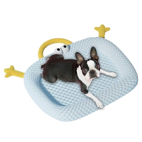 Raypontia Kühlende Matte für Haustiere, Waschbare Haustier Kühlauflage, Waschbare Kühlmatte für Hunde und Katzen für Zuhause, Reise, Balkon, Drinnen Raypontia Kühlende Matte für Haustiere, Waschbare Haustier Kühlauflage, Waschbare Kühlmatte für Hunde und Katzen für Zuhause, Reise, Balkon, Drinnen von Raypontia