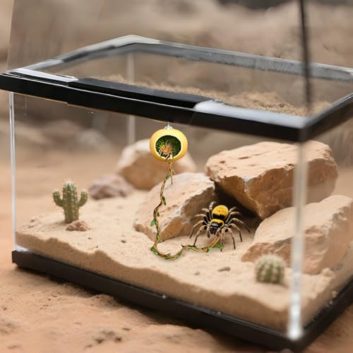 Raypontia Magnetische Verstecke für Springspinnen,Magnethöhle Für Springspinnen Versteckplatz - Terrarium Versteckhaus Zubehör Für Geckos Kleine Reptilien Insekten von Raypontia