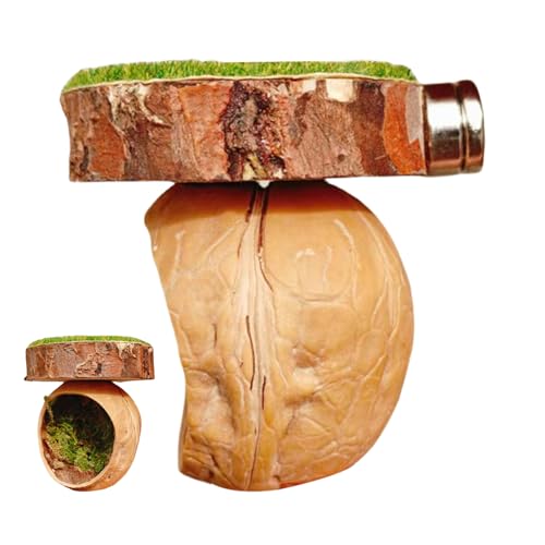 Raypontia Terrarium Für Springspinnen,Terrarium-Für Springspinnen | Magnethaus Für Amphibien Reptilien Gottesanbeterin Kleintiere Vogelspinne Raypontia Terrarium Für Springspinnen,Terrarium-Für Springspinnen | Magnethaus Für Amphibien Reptilien Gottesanbeterin Kleintiere Vogelspinne von Raypontia