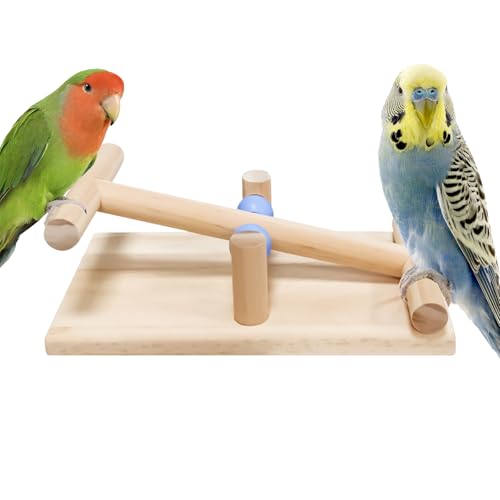 Raypontia Vogelspielzeug - Hölzerne Tischvogelwippe - Tisch Balance Spielzeug für Nymphensittiche und Sittiche, Interaktives Trainingswerkzeug für Raypontia Vogelspielzeug - Hölzerne Tischvogelwippe - Tisch Balance Spielzeug für Nymphensittiche und Sittiche, Interaktives Trainingswerkzeug für von Raypontia