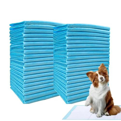 Raypontia Wee Wee Pads für Hunde,Puppy Pee Pads,wasserdichte Haustier-PIPI-Pads | Super saugfähige Hunde- und Katzenwindel, Welpen-Haustier-Urin-Windelunterlage, Katzenstreu-Toiletten-Hundeprodukte Raypontia Wee Wee Pads für Hunde,Puppy Pee Pads,wasserdichte Haustier-PIPI-Pads | Super saugfähige Hunde- und Katzenwindel, Welpen-Haustier-Urin-Windelunterlage, Katzenstreu-Toiletten-Hundeprodukte von Raypontia