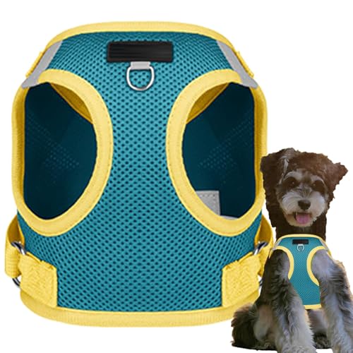 Raypontia Welpenweste, Haustiergeschirr - Reflektierende verstellbare Weste mit Tracker-,Weiches, atmungsaktives Hundegeschirr für kleine Hunde zum Trailrunning, Spazierengehen, Wandern, ganztägiges Raypontia Welpenweste, Haustiergeschirr - Reflektierende verstellbare Weste mit Tracker-,Weiches, atmungsaktives Hundegeschirr für kleine Hunde zum Trailrunning, Spazierengehen, Wandern, ganztägiges von Raypontia