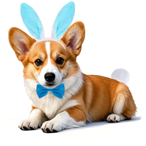 Rbenxia Osterkostüme für Hunde, Hasenohren, Fliege, Hund, Hasenschwanz, Oster-Hunde-Outfit, Kleidung für Ostern, Party-Zubehör, 3 Stück Rbenxia Osterkostüme für Hunde, Hasenohren, Fliege, Hund, Hasenschwanz, Oster-Hunde-Outfit, Kleidung für Ostern, Party-Zubehör, 3 Stück von Rbenxia