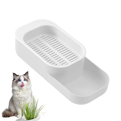 Katzengras Schale,Zpflanzgefäß für Katzengras Zwei in Einem,Keimschale Katze,Erdloses Hydrokultur-Design Seed Sprouter Tray für Innen-und Außenbepflanzung (Keine Samen) von Rbleote