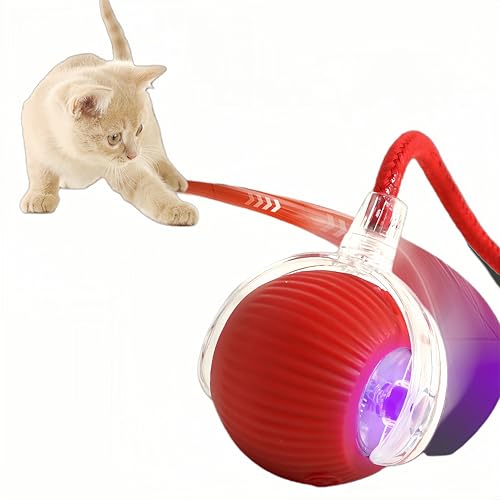 Rcxnm Interaktives Katzenspielzeug Hundes Ballspielzeug mit Seil, Magic Ball Hund,Rot Rcxnm Interaktives Katzenspielzeug Hundes Ballspielzeug mit Seil, Magic Ball Hund,Rot von Rcxnm