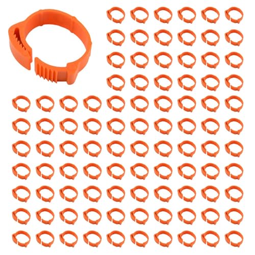 Rdjumpdjo 300 StüCke HäHnchen Identifikation BeinbäNder Etikette GeflüGelbeinbäNder VogelbeinbäNder EntenbeinbäNder Ring Klipps Rdjumpdjo 300 StüCke HäHnchen Identifikation BeinbäNder Etikette GeflüGelbeinbäNder VogelbeinbäNder EntenbeinbäNder Ring Klipps von Rdjumpdjo