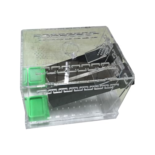 Rdxanc Acryl-Grillen-Behälter mit Futterwannen und belüftetem Design zur Beobachtung Rdxanc Acryl-Grillen-Behälter mit Futterwannen und belüftetem Design zur Beobachtung von Rdxanc