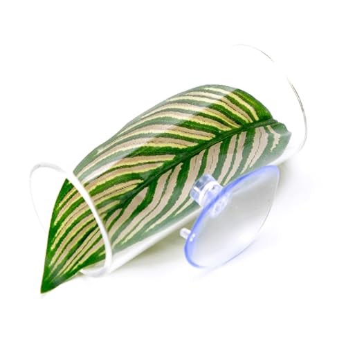 Rdxanc Bettas Fischruhtunnel Zuchtbett Simulation Nest Tunnel für komfortable Brutumgebung Rdxanc Bettas Fischruhtunnel Zuchtbett Simulation Nest Tunnel für komfortable Brutumgebung von Rdxanc