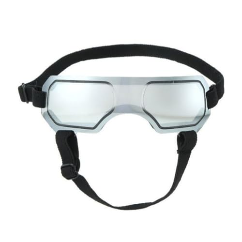 Rdxanc Bunte Haustier-Sonnenbrille, coole Tierbrille, schöne modische Haustier-Sonnenbrille für kleine Hunde und Welpen Rdxanc Bunte Haustier-Sonnenbrille, coole Tierbrille, schöne modische Haustier-Sonnenbrille für kleine Hunde und Welpen von Rdxanc