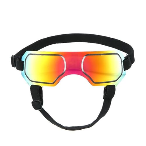 Rdxanc Bunte Haustier-Sonnenbrille, coole Tierbrille, schöne modische Haustier-Sonnenbrille für kleine Hunde und Welpen von Rdxanc