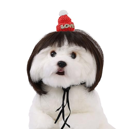 Rdxanc Haustier-Perücke, Hut für Weihnachten, Party, Requisiten, kleine Hunde und Katzen, Perücken für Festivals, Versammlungen, Haustier-Fotoshooting-Requisiten Rdxanc Haustier-Perücke, Hut für Weihnachten, Party, Requisiten, kleine Hunde und Katzen, Perücken für Festivals, Versammlungen, Haustier-Fotoshooting-Requisiten von Rdxanc