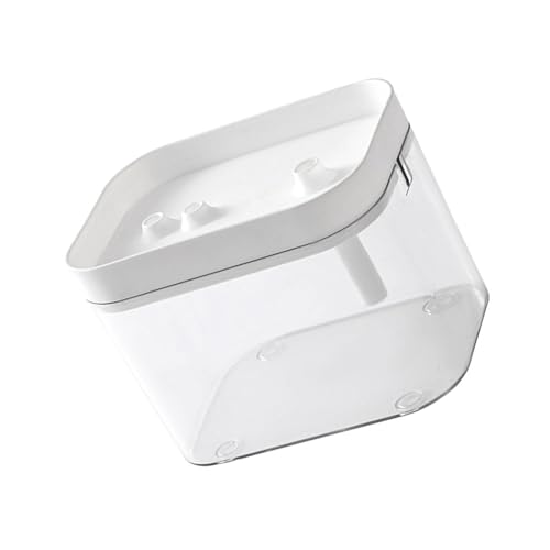Rdxanc Kleines transparentes Desktop-Aquarium mit USB-Pumpen für Zuhause, Büro, Dekoration, einfache Wartung, Aquarium, Dekoration von Rdxanc
