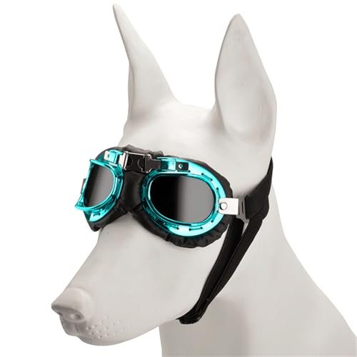Rdxanc Modische Sonnenbrille für Hunde, Vintage-Stil, reflektierend, für Urlaub, Hundezubehör von Rdxanc