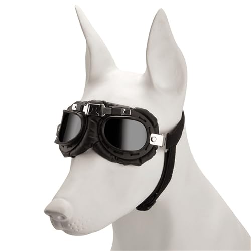Rdxanc Modische Sonnenbrille für Hunde, Vintage-Stil, reflektierend, für Urlaub, Hundezubehör von Rdxanc