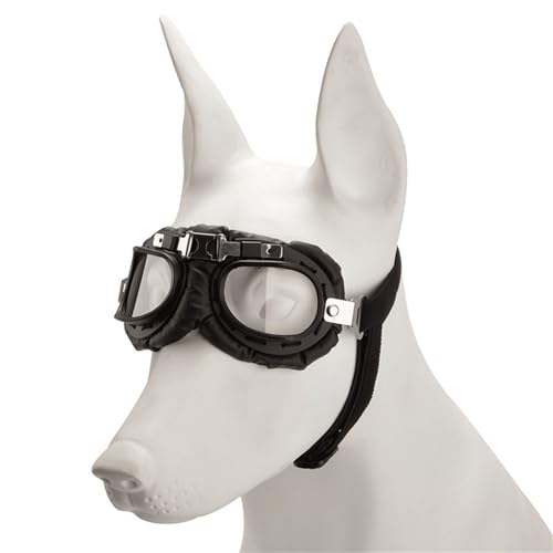 Rdxanc Modische Sonnenbrille für Hunde, Vintage-Stil, reflektierend, für Urlaub, Hundezubehör Rdxanc Modische Sonnenbrille für Hunde, Vintage-Stil, reflektierend, für Urlaub, Hundezubehör von Rdxanc