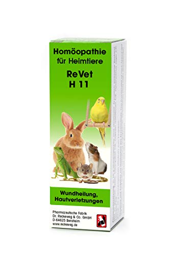 REVET H 11 Globuli für Heimtiere -Homöopathisches Arzneimittel für Heimtiere, freiverkäuflich, 10 g REVET H 11 Globuli für Heimtiere -Homöopathisches Arzneimittel für Heimtiere, freiverkäuflich, 10 g von ReVet
