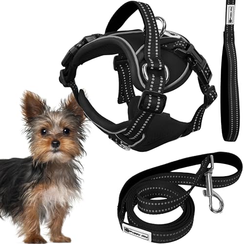 Rea, PuppyJoy Haustiergeschirr mit Leine Pj-047 XsBlack, Sicherer Spaziergang für Hunde und Katzen - 150X16X150CM Rea, PuppyJoy Haustiergeschirr mit Leine Pj-047 XsBlack, Sicherer Spaziergang für Hunde und Katzen - 150X16X150CM von Rea