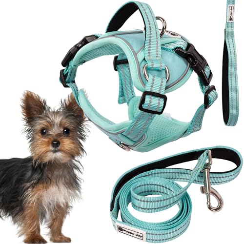 Rea, PuppyJoy Haustiergeschirr mit Leine Pj-049 XsGreen, Sicherer Spaziergang für Hunde und Katzen Rea, PuppyJoy Haustiergeschirr mit Leine Pj-049 XsGreen, Sicherer Spaziergang für Hunde und Katzen von Rea