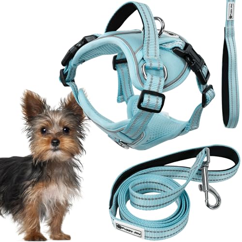Rea, PuppyJoy Haustiergeschirr mit Leine Pj-050 XsBlue, Sicherer Spaziergang für Hunde und Katzen - 150X16X150CM Rea, PuppyJoy Haustiergeschirr mit Leine Pj-050 XsBlue, Sicherer Spaziergang für Hunde und Katzen - 150X16X150CM von Rea