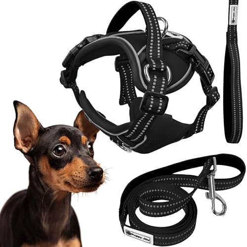 Rea, PuppyJoy Haustiergeschirr mit Leine Pj-051 SBlack, Sicherer Spaziergang für Hunde und Katzen von Rea