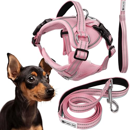 Rea, PuppyJoy Haustiergeschirr mit Leine Pj-052 Spink, Sicherer Spaziergang für Hunde und Katzen - 150X20X150CM Rea, PuppyJoy Haustiergeschirr mit Leine Pj-052 Spink, Sicherer Spaziergang für Hunde und Katzen - 150X20X150CM von Rea