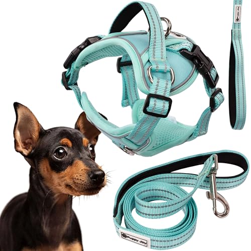 Rea, PuppyJoy Haustiergeschirr mit Leine Pj-053 SGreen, Sicherer Spaziergang für Hunde und Katzen Rea, PuppyJoy Haustiergeschirr mit Leine Pj-053 SGreen, Sicherer Spaziergang für Hunde und Katzen von Rea