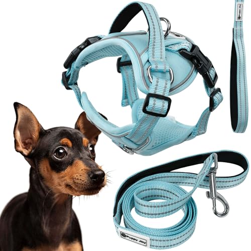 Rea, PuppyJoy Haustiergeschirr mit Leine Pj-054 SBlue, Sicherer Spaziergang für Hunde und Katzen - 150X20X150CM Rea, PuppyJoy Haustiergeschirr mit Leine Pj-054 SBlue, Sicherer Spaziergang für Hunde und Katzen - 150X20X150CM von Rea