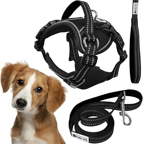 Rea, PuppyJoy Haustiergeschirr mit Leine Pj-055 MBlack, Sicherer Spaziergang für Hunde und Katzen - 150X24X150CM von Rea