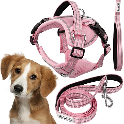 Rea, PuppyJoy Haustiergeschirr mit Leine Pj-056 MPink, Sicherer Spaziergang für Hunde und Katzen - 150X24X150CM Rea, PuppyJoy Haustiergeschirr mit Leine Pj-056 MPink, Sicherer Spaziergang für Hunde und Katzen - 150X24X150CM von Rea