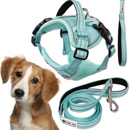 Rea, PuppyJoy Haustiergeschirr mit Leine Pj-057 MGreen, Sicherer Spaziergang für Hunde und Katzen - 150X24X150CM Rea, PuppyJoy Haustiergeschirr mit Leine Pj-057 MGreen, Sicherer Spaziergang für Hunde und Katzen - 150X24X150CM von Rea