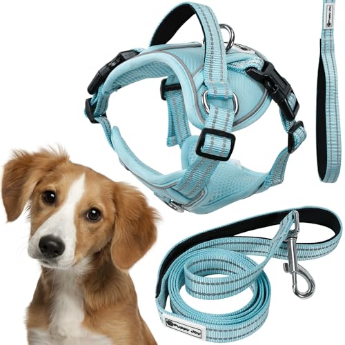 Rea, PuppyJoy Haustiergeschirr mit Leine Pj-058 MBlue, Sicherer Spaziergang für Hunde und Katzen - 150X24X150CM Rea, PuppyJoy Haustiergeschirr mit Leine Pj-058 MBlue, Sicherer Spaziergang für Hunde und Katzen - 150X24X150CM von Rea